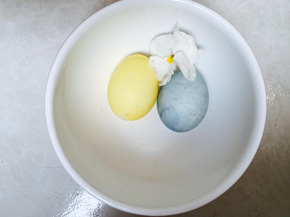 Easter eggs colored with natural dyes: blueberries and saffron