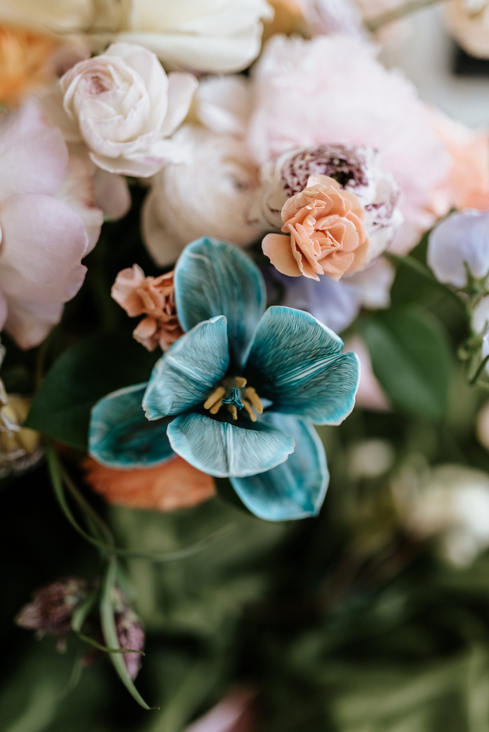 beautiful spring flower arrangments photographed by Heather K Purdy