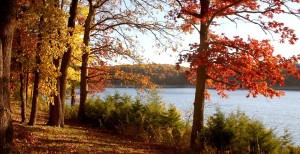 Fall Foliage iin Tennessee