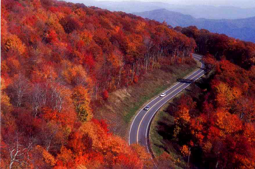 Tennessee: The perfect place for nature lovers