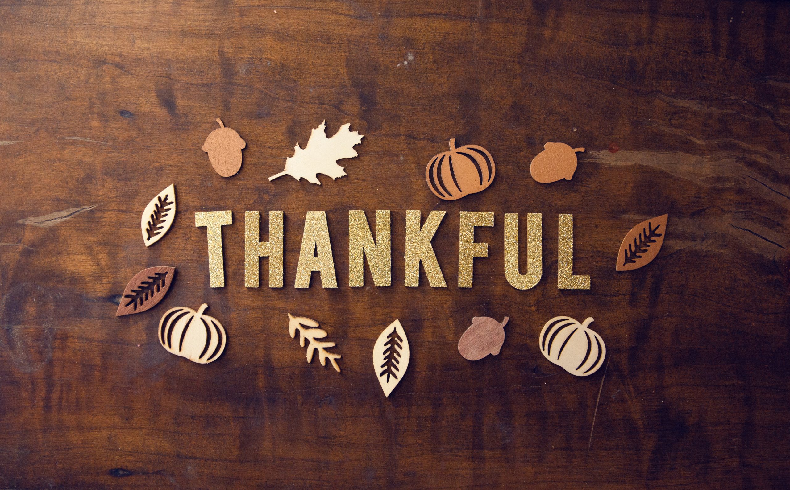 Ways to express gratitude this Thanksgiving