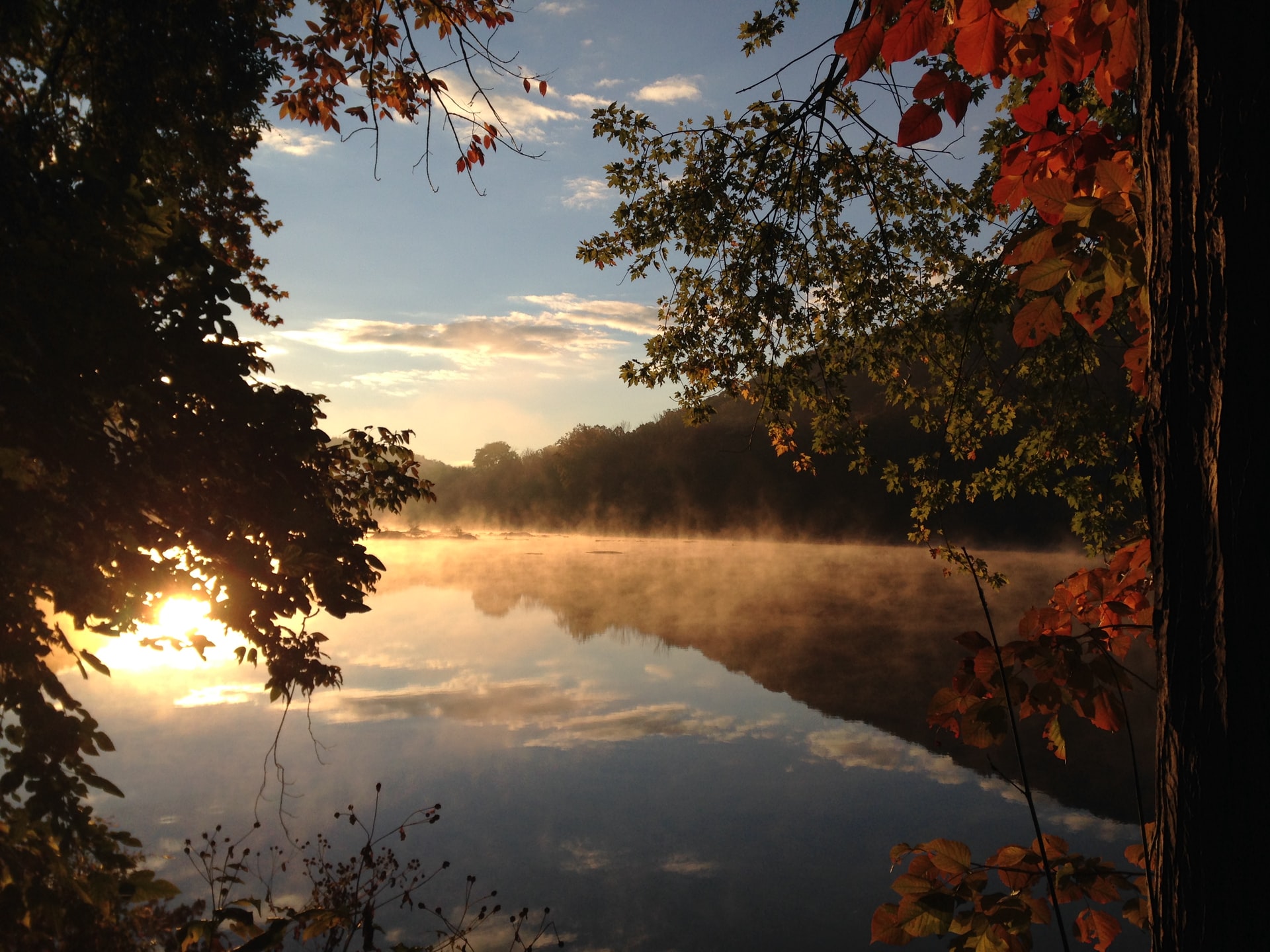 fall foliage photography tips