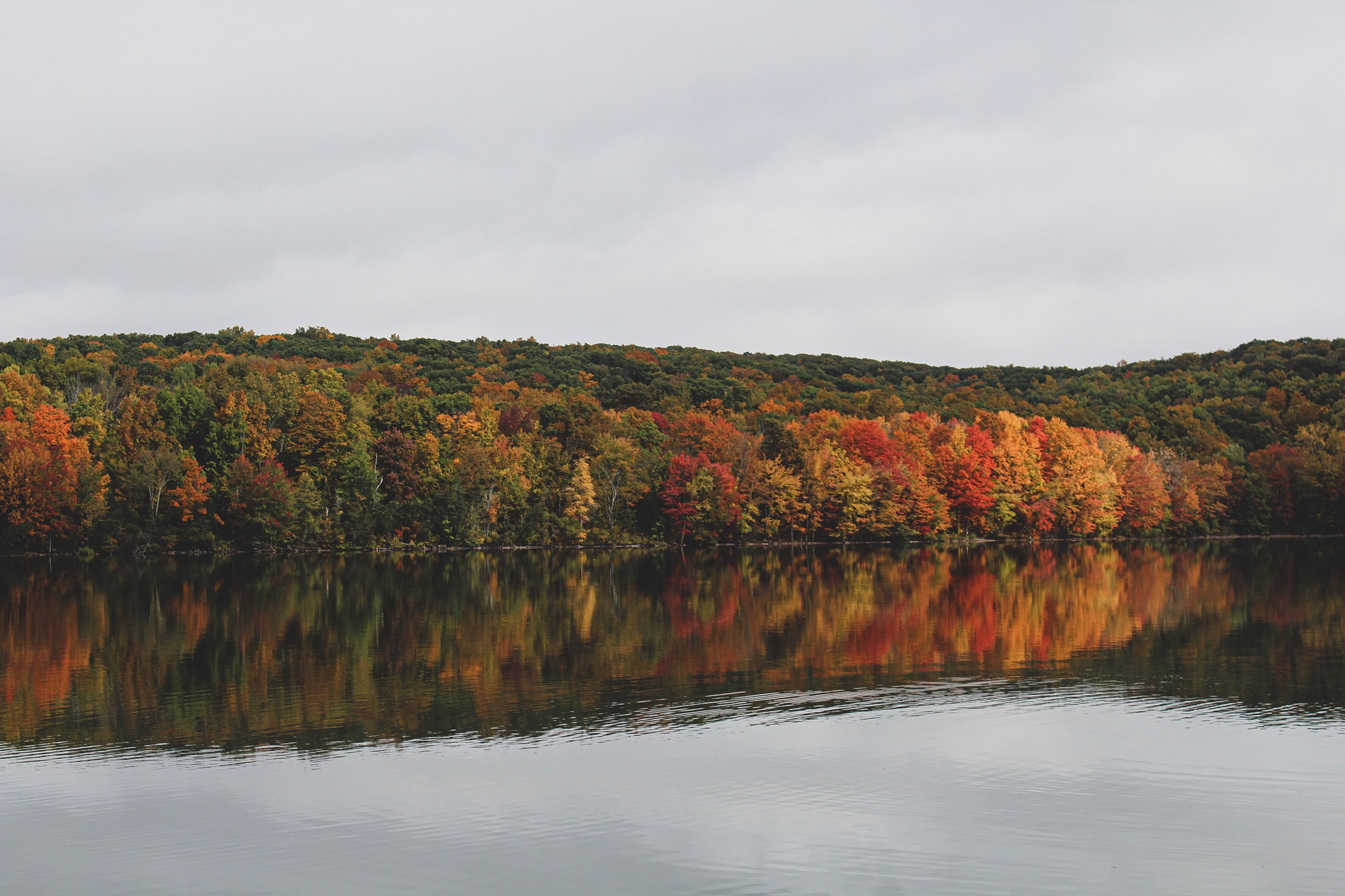 fall foliage photography tips